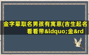 金字辈取名男孩有寓意(吉生起名 看看带“金”字的名字)